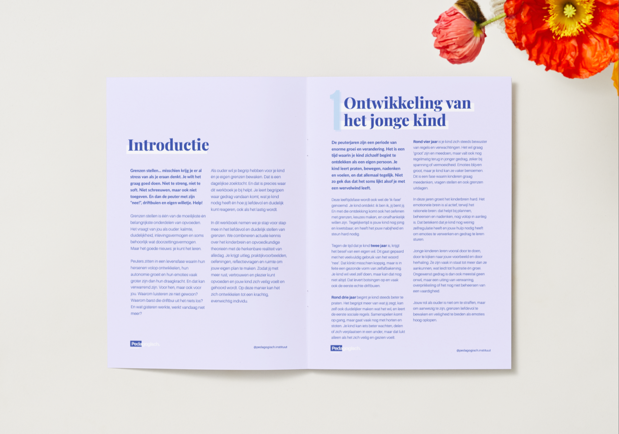 Werkboek Liefdevol grenzen stellen